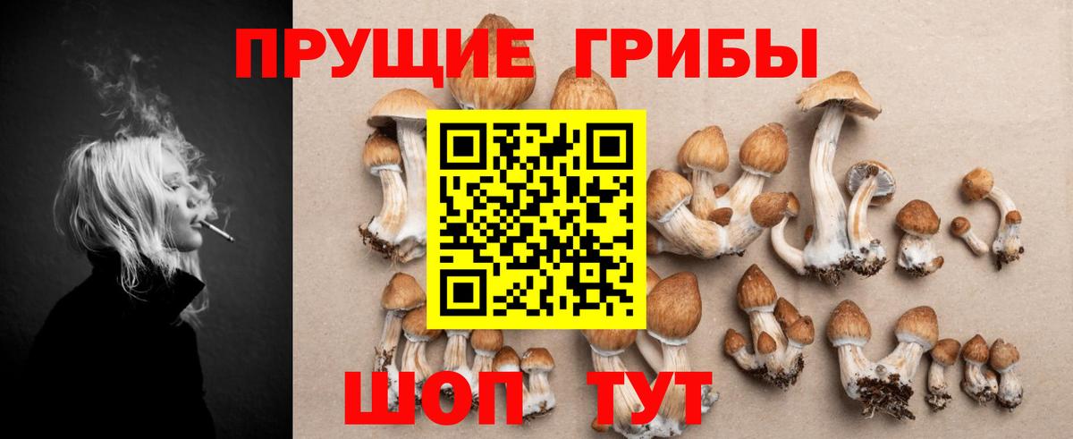 Протвино  Галлюциногенные грибы GOLDEN TEACHER  Вход с VPN 
